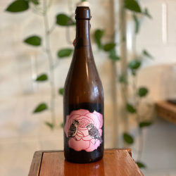 Art and Science Mountain Rose Cider