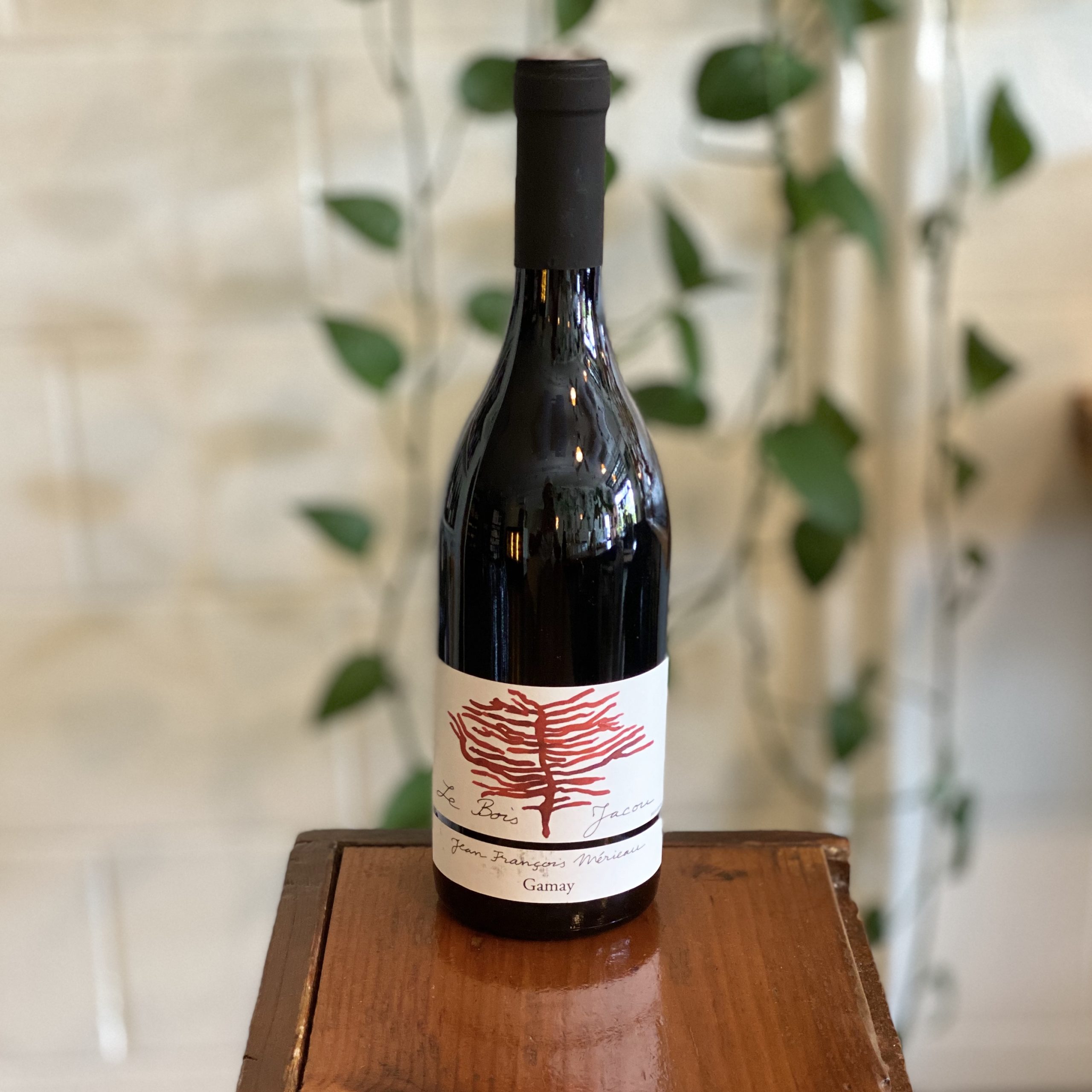 Jean Francois Merieau Le Bois Jacou Gamay The Place PDX