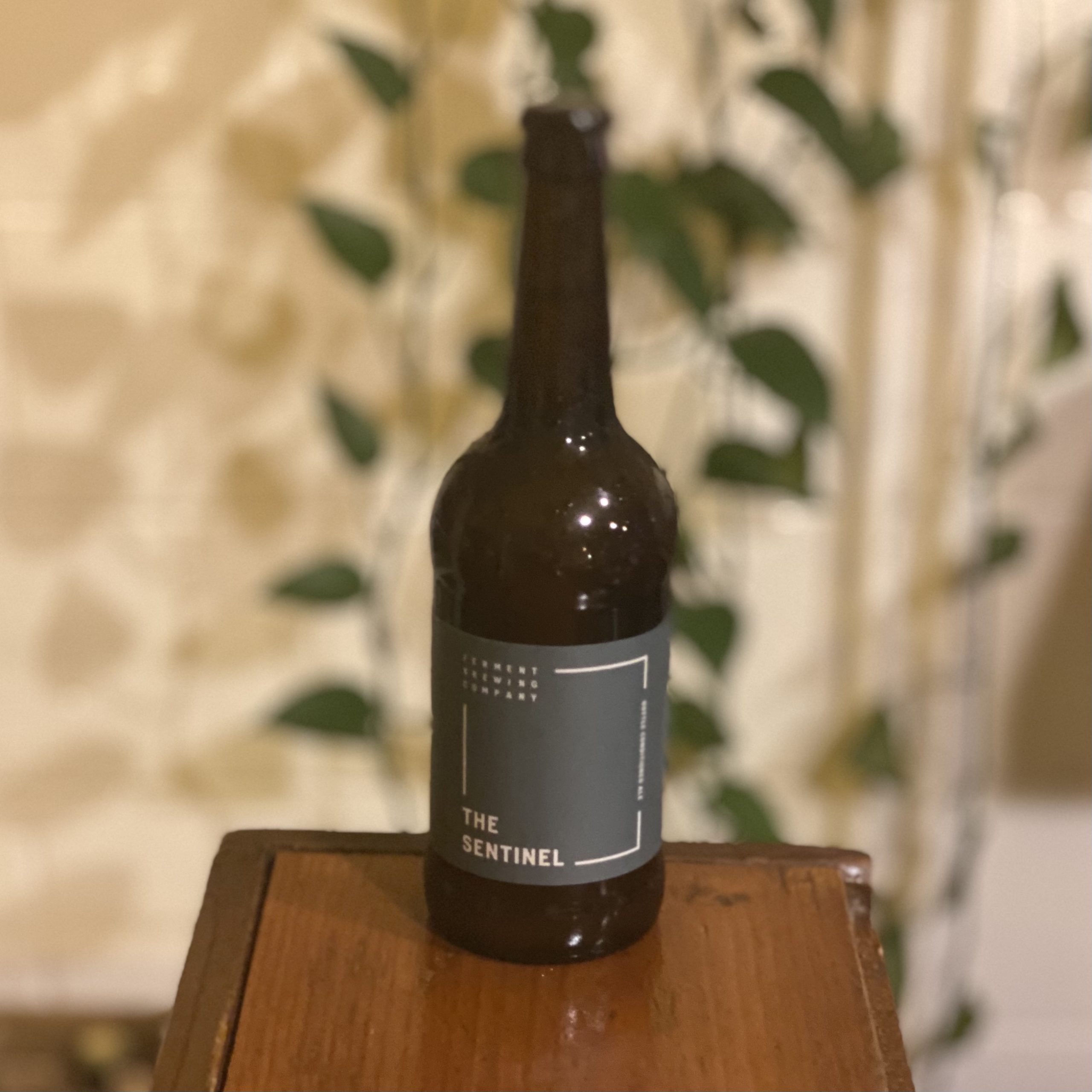 Ferment Brewing Company The Sentinel The Place PDX